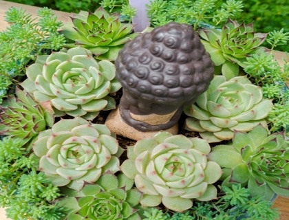 花卉苗木產