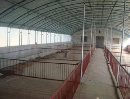 牧畜養殖大棚內