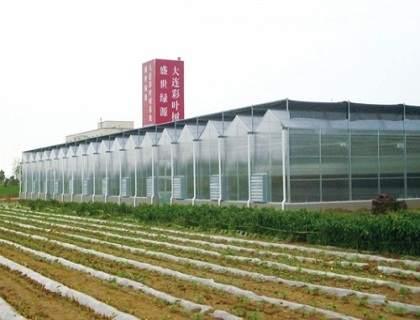 陽光板溫室
