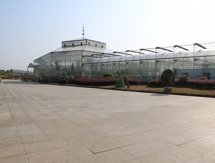 連棟玻璃溫室展