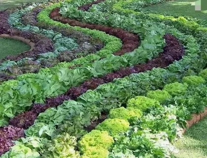 植物生態溫室