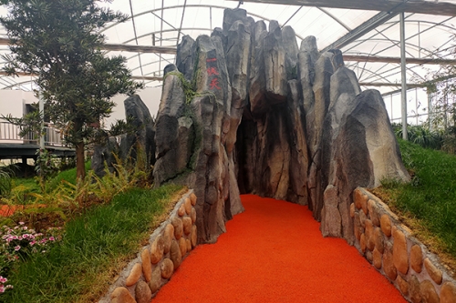 溫室內部展示