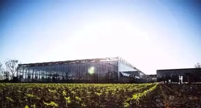 溫室工程